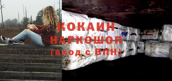 дживик Абаза